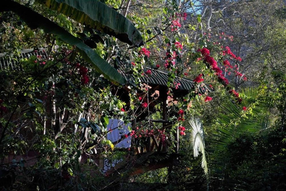 Mariri Jungle Lodge Alto Paraíso de Goiás Exteriör bild