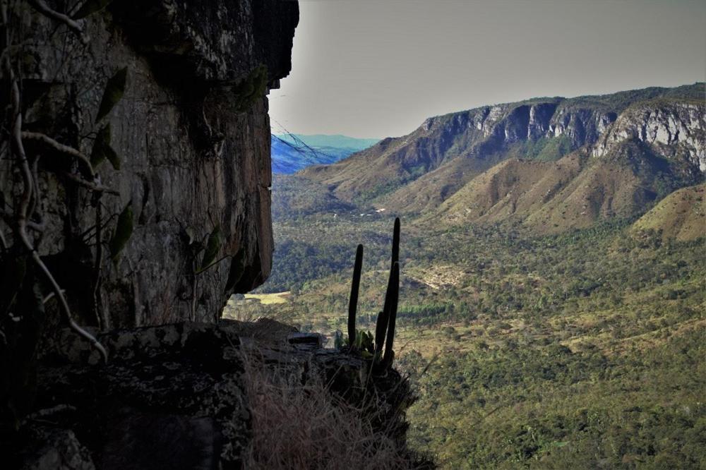 Mariri Jungle Lodge Alto Paraíso de Goiás Exteriör bild