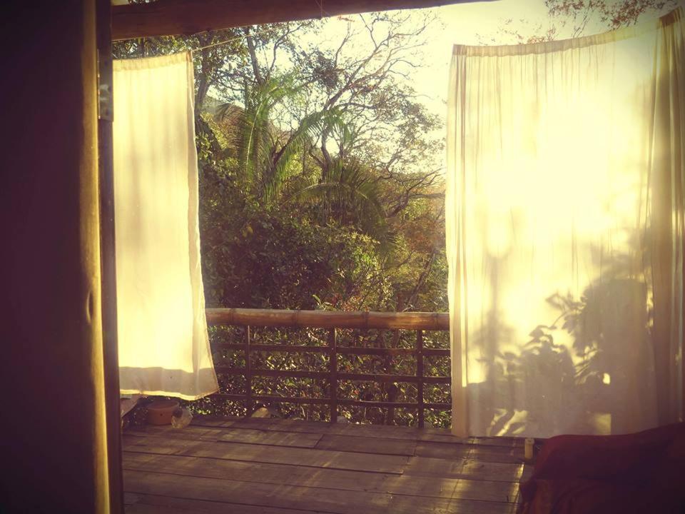Mariri Jungle Lodge Alto Paraíso de Goiás Exteriör bild